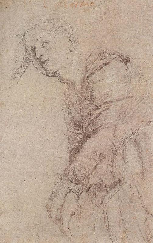 Peter Paul Rubens Sketch of Gedelinxidao china oil painting image